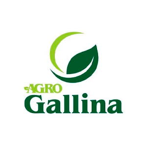 E-CEASA - clientes (2)