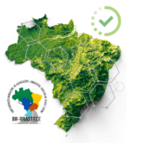 Imagem Blog E-Ceasa (1)