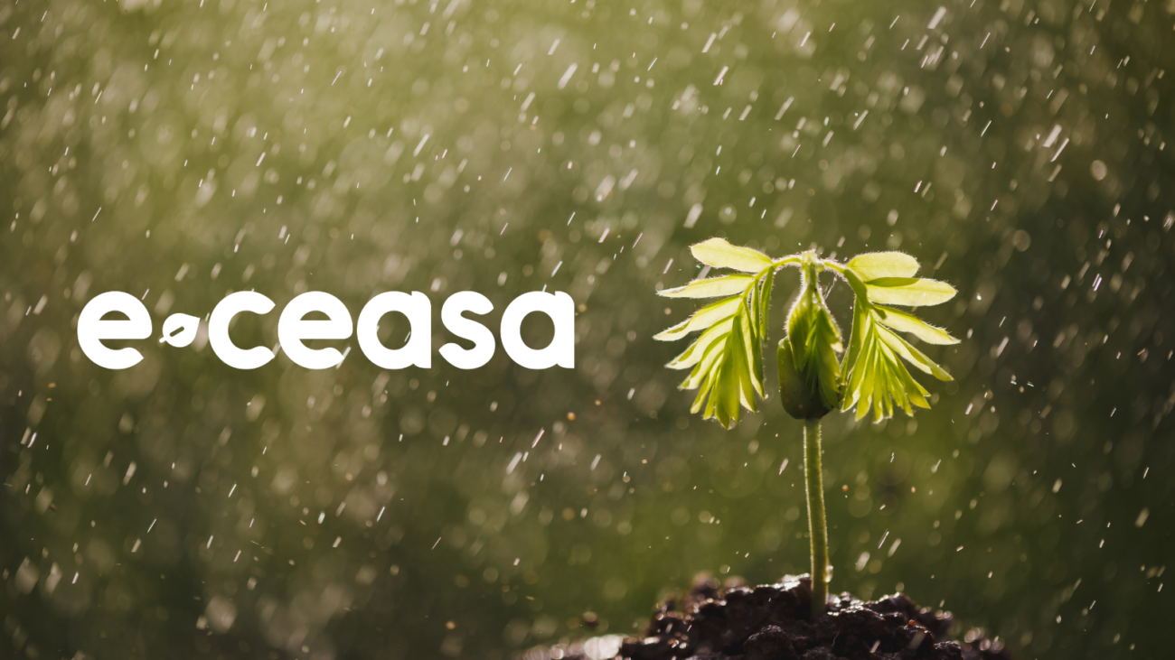 Imagem Blog E-Ceasa