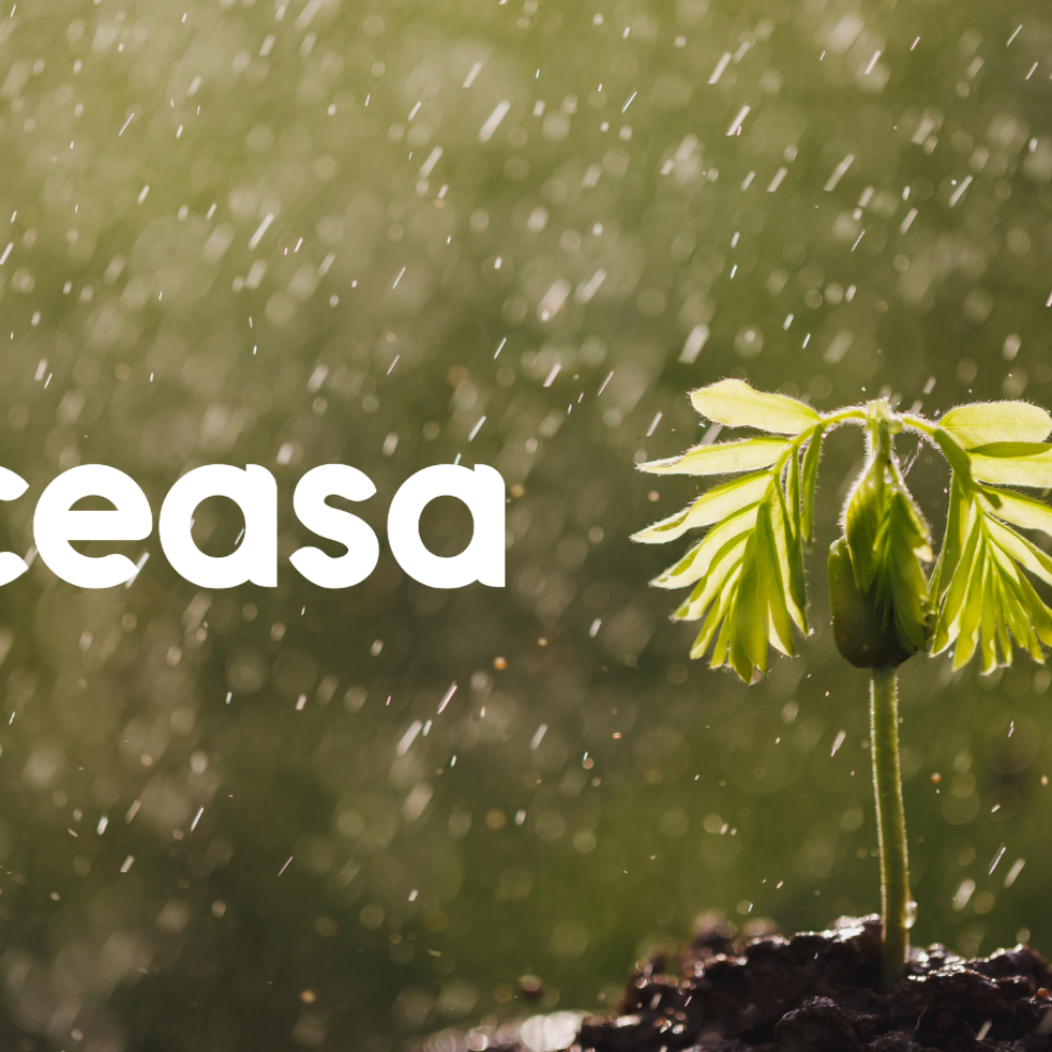 Imagem Blog E-Ceasa
