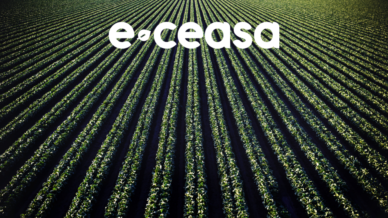 Imagem Blog E-Ceasa
