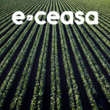 Imagem Blog E-Ceasa