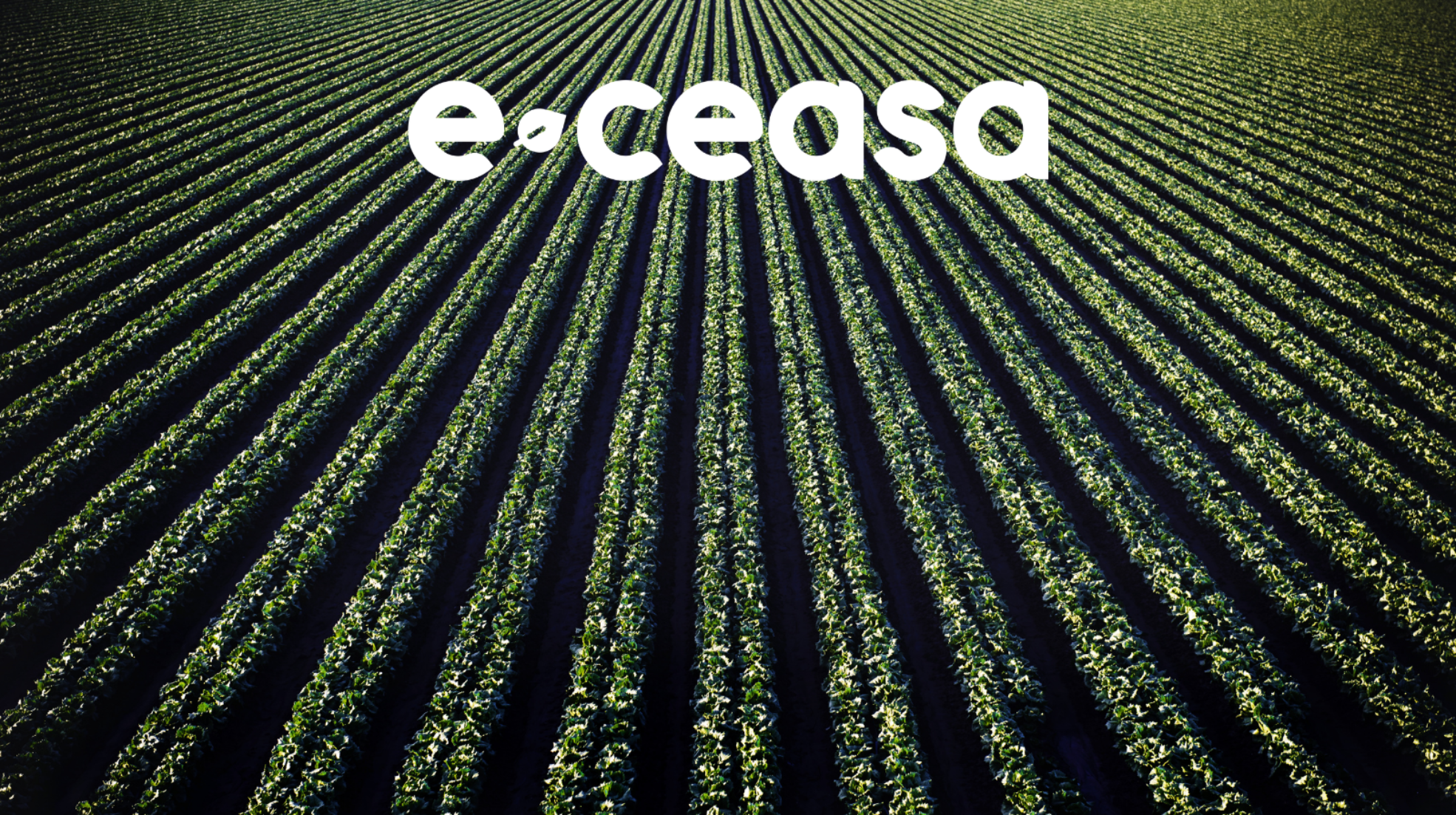 Imagem Blog E-Ceasa