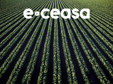 Imagem Blog E-Ceasa