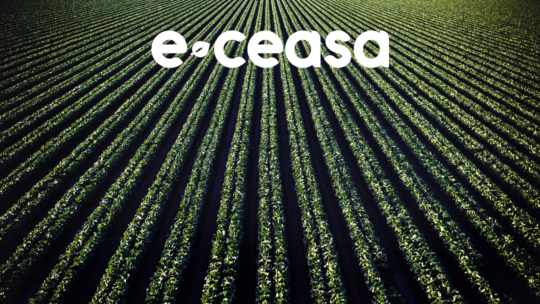 Imagem Blog E-Ceasa