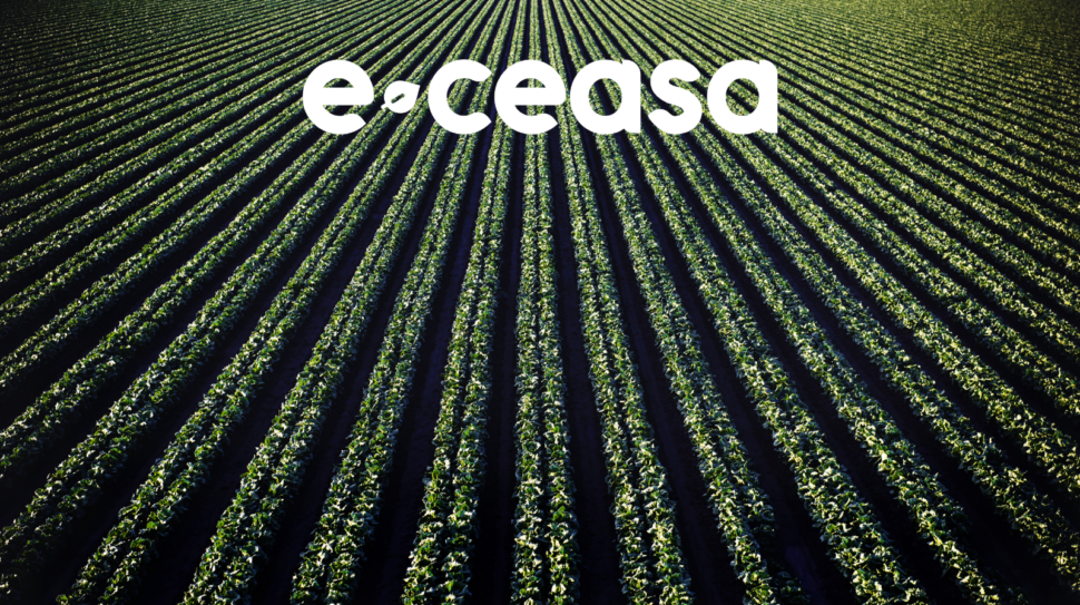 Imagem Blog E-Ceasa